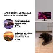 Monitor FHD - 22MR410-B